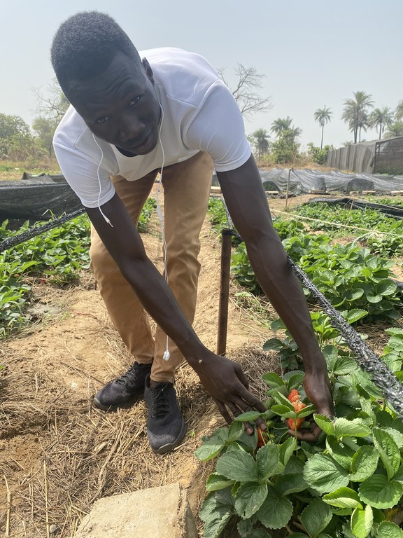 Gambian fruit and vegetable entrepreneur, Alhadgie Faal